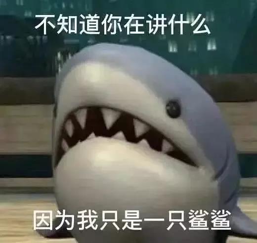 不知道你在讲什么，因为我只是一只鲨鲨
